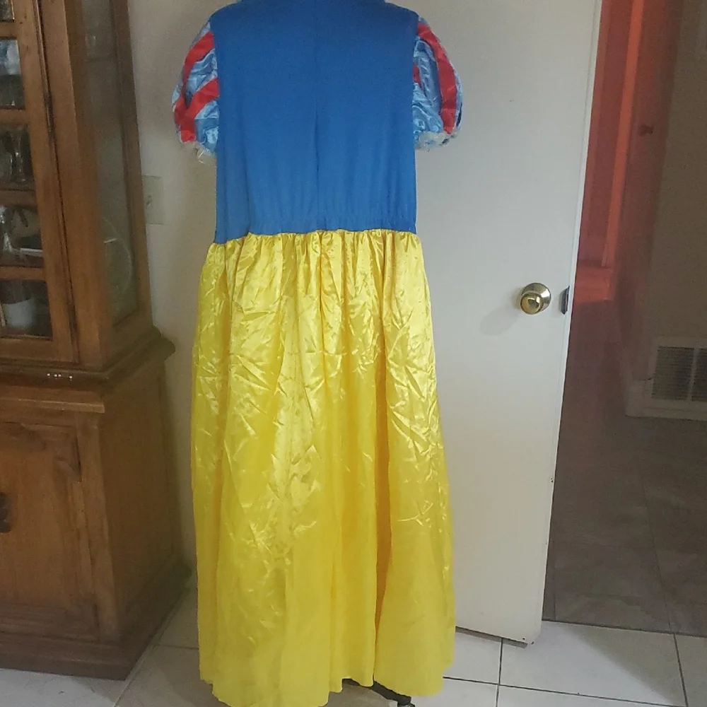 Disney Princess Costume with Blue and Yellow Dress - Picture 7 of 11